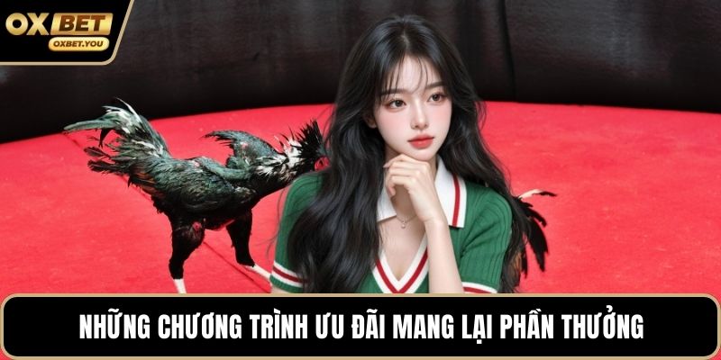 Những chương trình ưu đãi mang lại phần thưởng