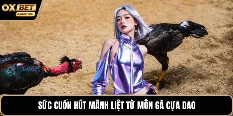 Sức cuốn hút mãnh liệt từ môn gà cựa dao